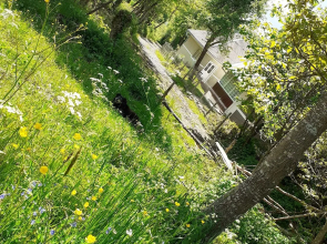 Room in Guest Room - Sejour Retreat For Family In Paradise