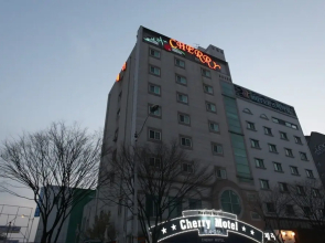 Daejeon Cherry