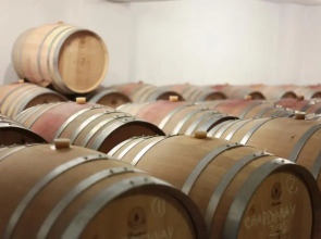 Vinifera Vineyards Hotel