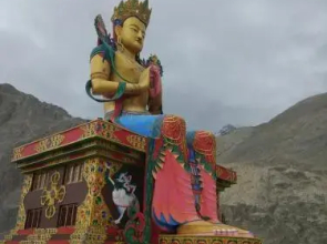 Organic Boutique Inn Nubra Hunder