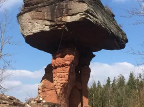 Ferienwohnung am Waldrand