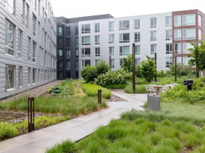 Sunny Lower Allston Suites by Sonder