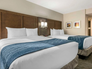 Comfort Inn & Suites Downtown Brickell-Port of Miami