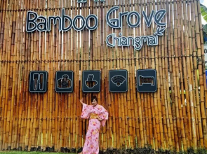 Bamboo Grove Chiang Mai