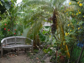 Palmetto Guesthouse