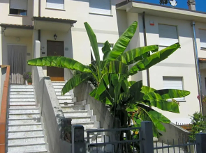 Il Melograno B&B