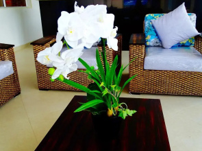 Alborada Hotel Melgar