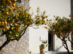 Citrus Grove - Villa 4 Bedrooms 1 of 3 Pools is Heated