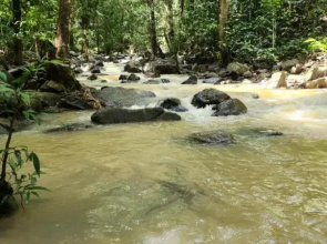Jipu Homestay