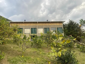 Montanha Home