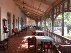 Dune Barr House - Verandah in the Forest