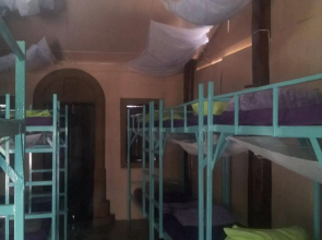 Purple Monkey Backpackers