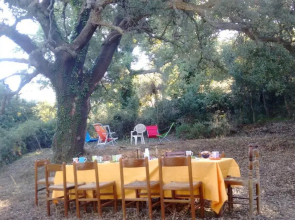 Agriturismo Bosco Pianetti