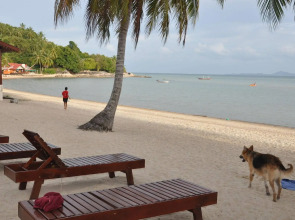 Phangan Rainbow Bungalows