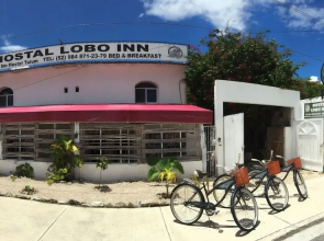 Lobo Inn - Hostel