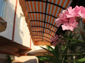 Wild Cherry Apartments