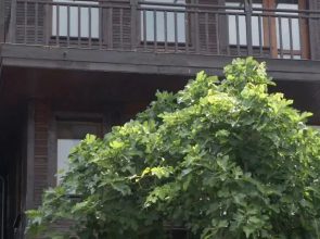 Guest House Fotini 2