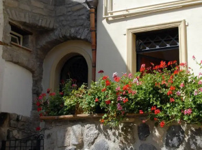 Bed and Breakfast L'Agrifoglio di Maria Carmela Icolari
