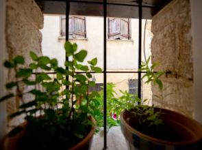 Katerina Traditional Rooms