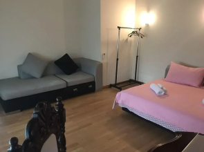 Rare house with garden in Tbilisi