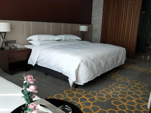 Shaanxi Hancheng Qiangda Grand Skylight Hotel