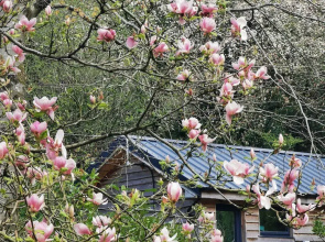 Countryside Cottage Retreat at Ty'r Cwm Farm