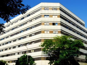 Apartamentos Goya 75