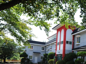 Shiny Town Pension