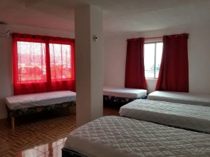 Reggae Hostel Montego Bay