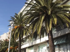MyNice Vacances Floride