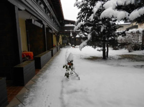 Alpen Appartementhof