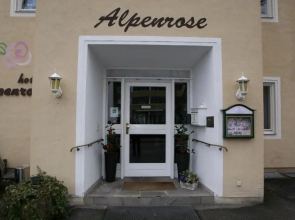 Alpenrose