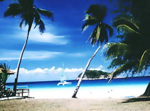 Coral Redang Island Resort