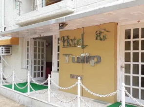 Hotel Tulip