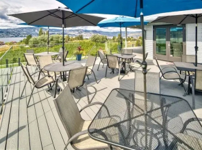 Therapy Vineyards