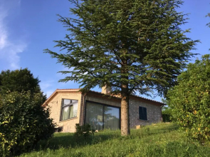 Agricola Caicucci