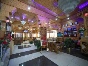 Hotel shimla hills international
