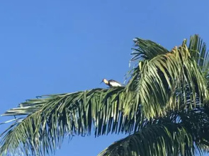 Casa de Campo Sao Paulo