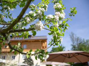 Hotel Försterhof