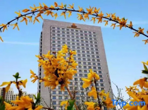 King Lion Hotel