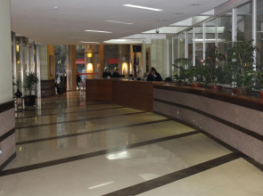 VIP Apartments Chile