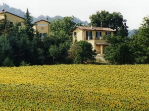Fattoria del Cerretino