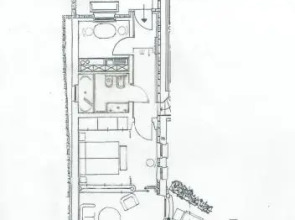 Garden Olive dog friendly