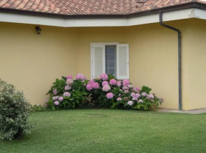 B&B The Country House