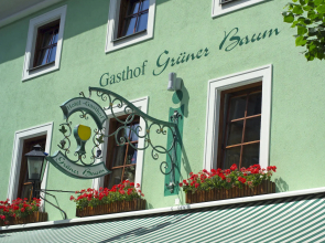 Grner Baum