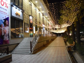 Apartment Kievskaya 114/2