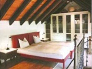 Casa Avocado