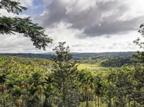 Treebo Trend Sierra Vista Apartment