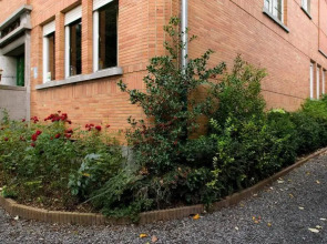 Elementum Hotel - B&B