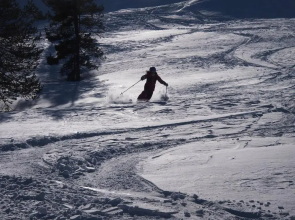 Pyhän Kortepuolukka